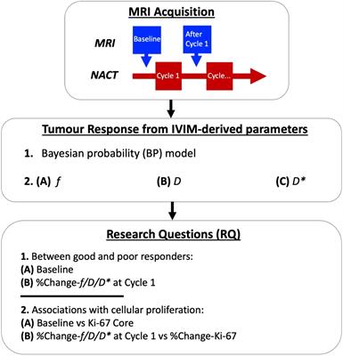 Towards detection of early response in neoadjuvant chemotherapy of breast cancer using Bayesian intravoxel incoherent motion